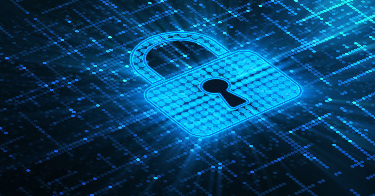 Business internet security cyber risk Nelson NZ